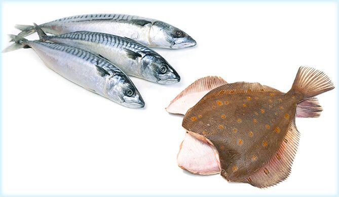 Makrele und Flunder - ein Fisch, der die Potenz bei Männern erhöht