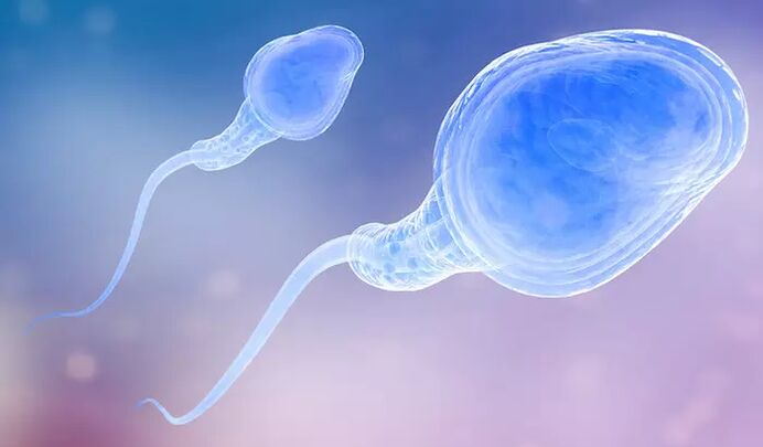 Spermatozoen können im Präejakulat eines Mannes vorhanden sein