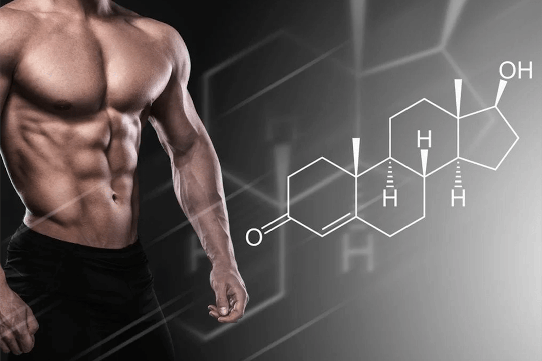 Testosteron bei Männern als Stimulans der Potenz